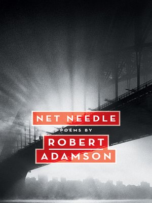 cover image of Net Needle